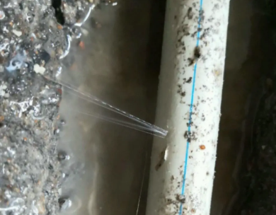 乃东测漏水哪家好