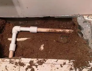 乃东测漏水哪家好