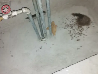 乃东卫生间测漏水价格明细