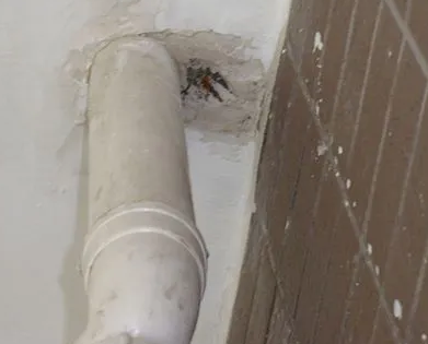 乃东漏水检测哪家好